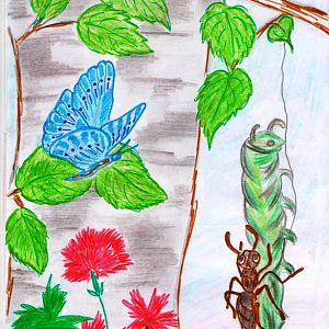 Рисунок к рассказу  В. Бианки 